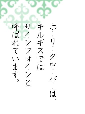 ホーリークローバーは、キルギスではサインフォインと呼ばれています。