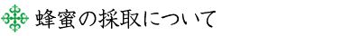 蜂蜜の採取について